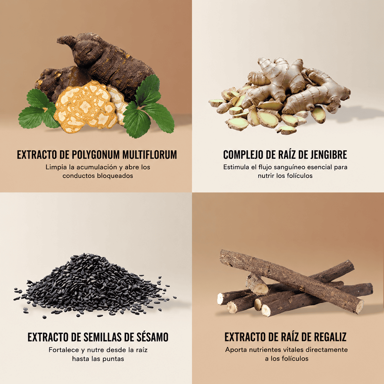 Zeno™ - Shampoo Activador de Raíces