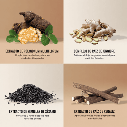 Zeno™ - Shampoo Activador de Raíces